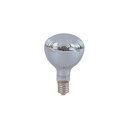 安全投光器用交換球 レフ球(白熱球) 300W 220V 3650Lm NRF-300 220V 日動工業