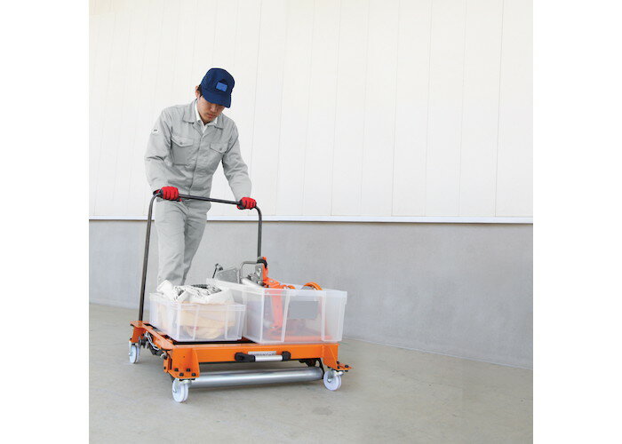 シーソードラム ISK-SD800 ISK-SD800 育良精機