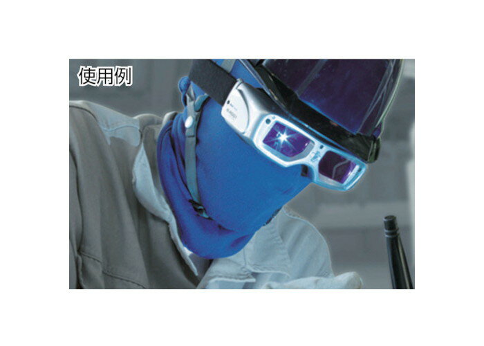 ��ԥåɥ��饹�饤�������ܥա��� IS-RGGF ��������