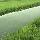 雑草抑制おまかせネット 1.5m×50m 緑 1巻 耐候年数約8年 傾斜地専用