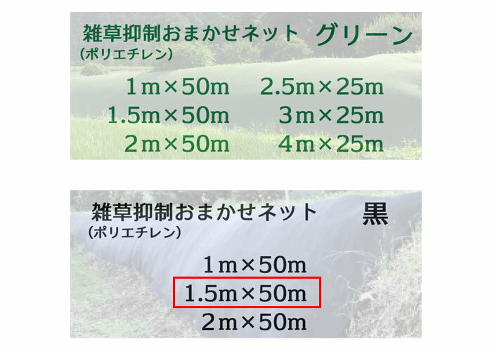 �����������ޤ����ͥå� 1.5m��50m �� 1�� �Ѹ�ǯ����8ǯ ����������