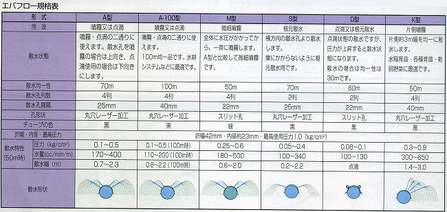 �ÿ���塼�� ���Хե���A