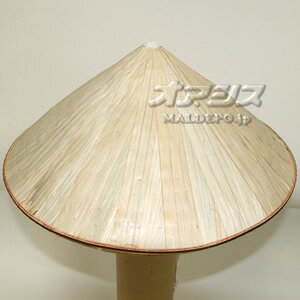 2001 ベトナム三角笠 大 ゴトク付