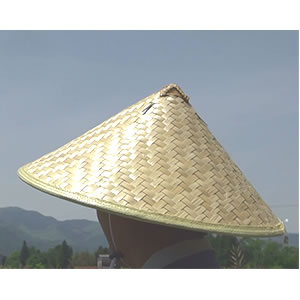 竹笠 大 ごとく付