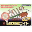 LED防獣ライト 昼夜センサー付