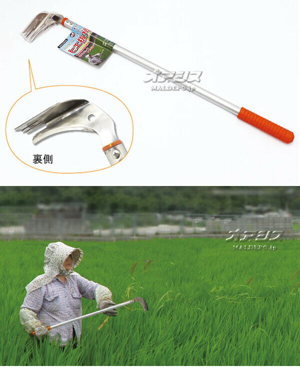 ���Ľ����Ѷ� �ҥ�ȴ��(�̥�����) #0868 ���۶�°(SANYO METAL)