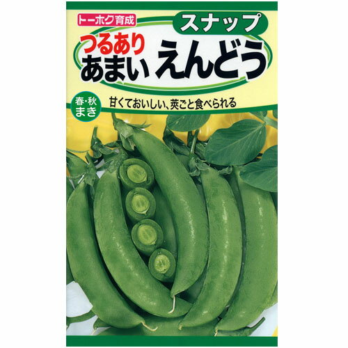 野菜の種 つるあり あまいえんどう トーホク 春まき 秋まき 栽培例あり【メール便可】