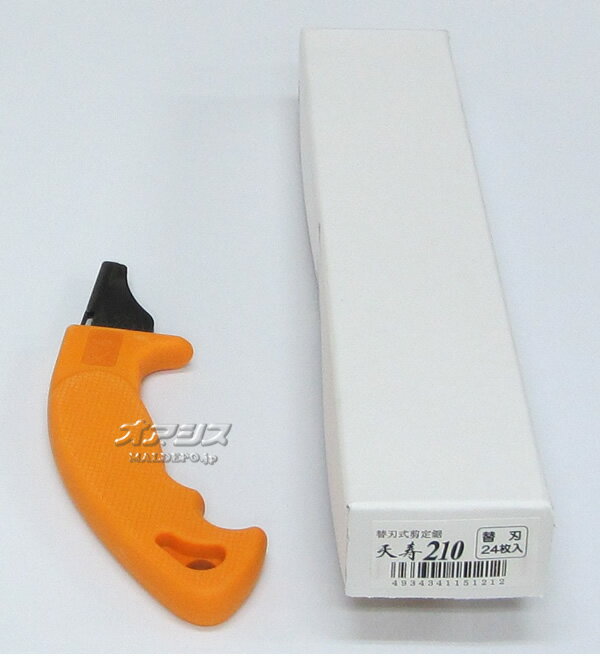 ŷ�� �����ؿ� 210mm 24�� ŷ����ʪ���� �ץ쥼�����