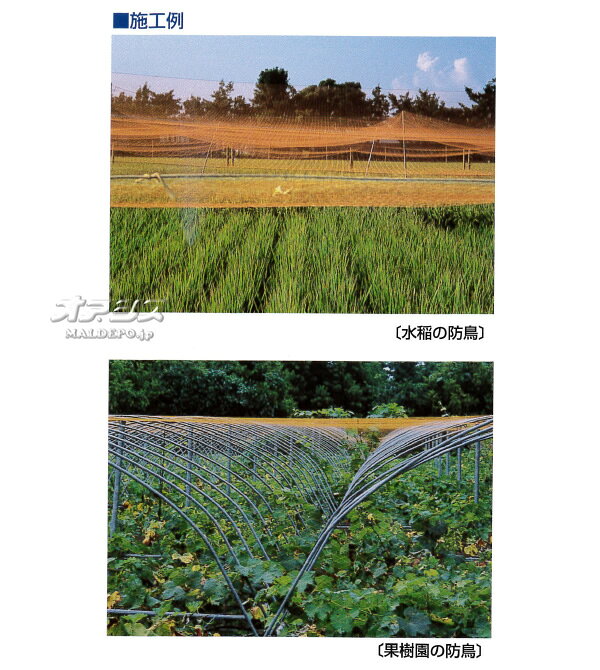 オアシスプラスのPE防鳥網 C200 400d 30mm角 18.0m*36.0m オレンジ 1枚セット 東京戸張｜アングル3