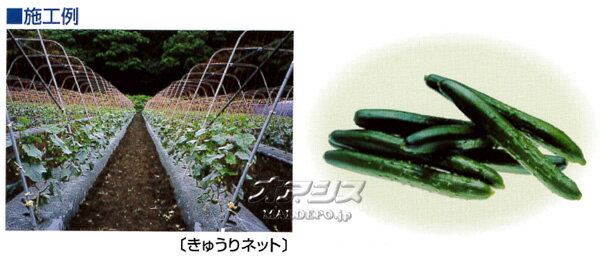 ���奦��ͥå� WA1830 18cm�� 1.8m*30m ��/�� 12�祻�å� �����ĥ