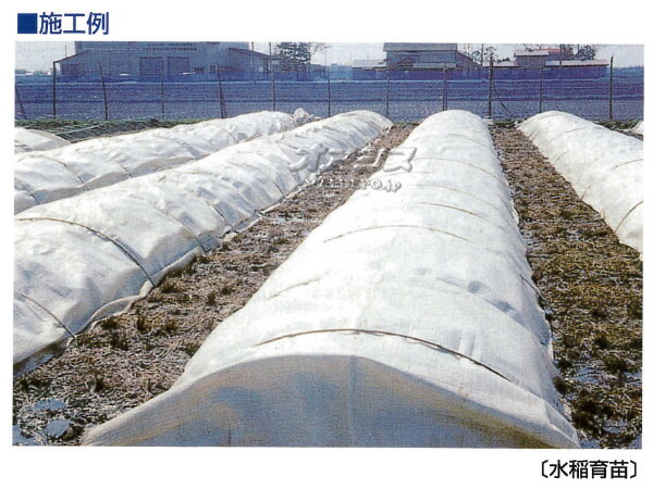 �ۥåȥ󥫥С� #220 2mm�� 2.0m*50m �����ĥ��ˡ�ͤΤߡ�