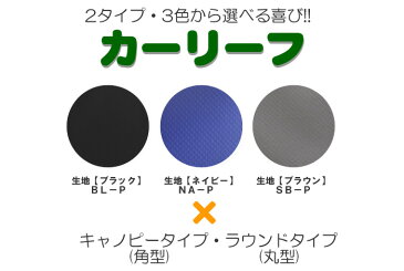 カーリーフ(パイプ車庫) キャノピータイプ(角型) BL-P 南栄工業 2.5x4.0x2.1m^3 ブラック【受注生産品】【地域別運賃】