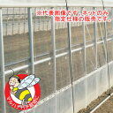 防虫ネット(防虫網) サンサンはちネット HM3388 0.75x100m 日本ワイドクロス 目合3.6mm 透光率95%【法人のみ】【営業所留め可】
