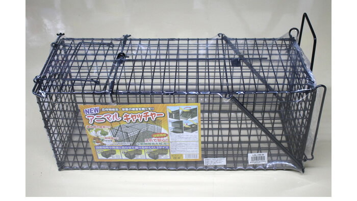 小動物捕獲器(箱ワナ) アニマルキャッチャー M シンセイ W26xD68xH28cm 黒