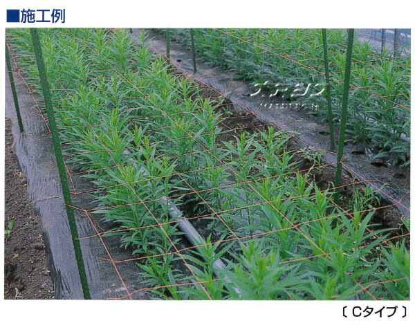 �ե��ͥå� D������ D105 10cm�� 5�� 0.50m*100m �� 400dX24��ǲ�� �����ĥ