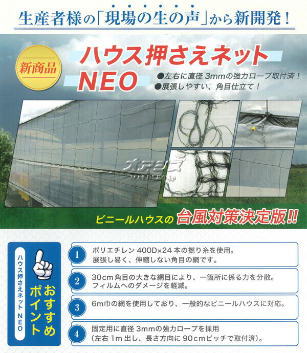 ハウス押さえネットNEO 角目 30cm 幅6m 全長21m 東京戸張【受注生産品】