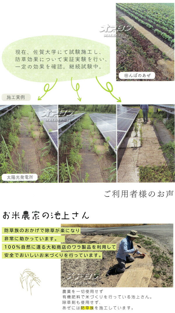 ���𥷡���(�/�ष��) ����² ��50cm*10m 1�� ���¾�Ź �����ڼ��������ʡ�