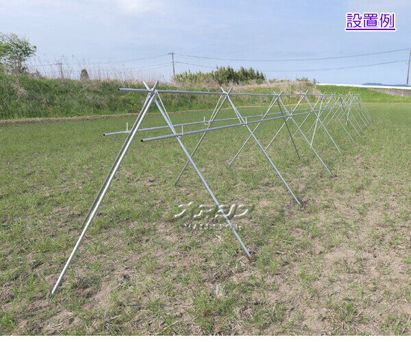 ��γݴ���(����) �ۤ��١� 3�ʳ� 5���⥻�å� ��ɹ��� ��Ĺ����20m���ϰ��̱��¡ۡڱĶȽ�α��ġ�