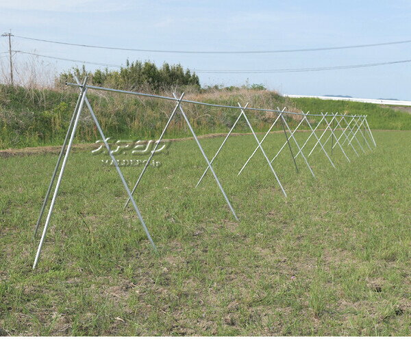 ��γݴ���(����) �ۤ��١� 1�ʳ� 5���⥻�å� ��ɹ��� ��Ĺ����60m���ϰ��̱��¡ۡڱĶȽ�α��ġ�