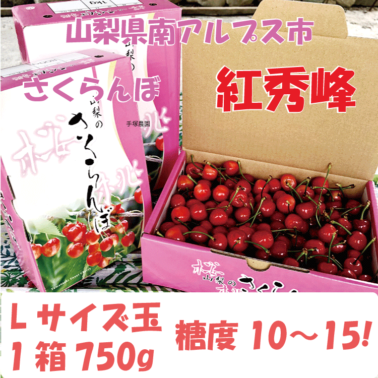 さくらんぼ　紅秀峰　750g　大粒　南アルプス市産　数量限定　甘い　贈答用　6月中旬発送
