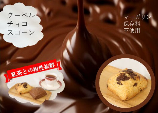 クーベルチョコスコーン　クーベルチュールチョコを使った贅沢なチョコチップスコーン　個包装