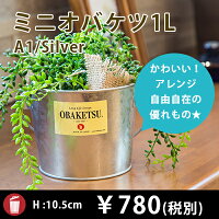 OBAKETSUA1