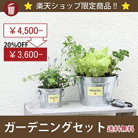 ガーデニングセットサムネ