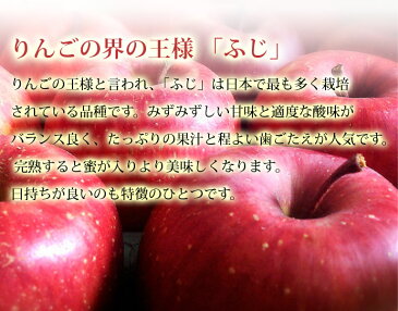 【 サンふじ 訳あり 5kg 送料無料 】【糖度13度以上】ご家庭用 サンふじりんご 5キロ 16〜20玉入り秋田県産 送料無料 訳あり ジューシーな果汁と、シャキシャキとした食感が魅力。 【 家庭用 訳あり お土産 果物 フルーツ 5キロ 秋田県 送料無料 】