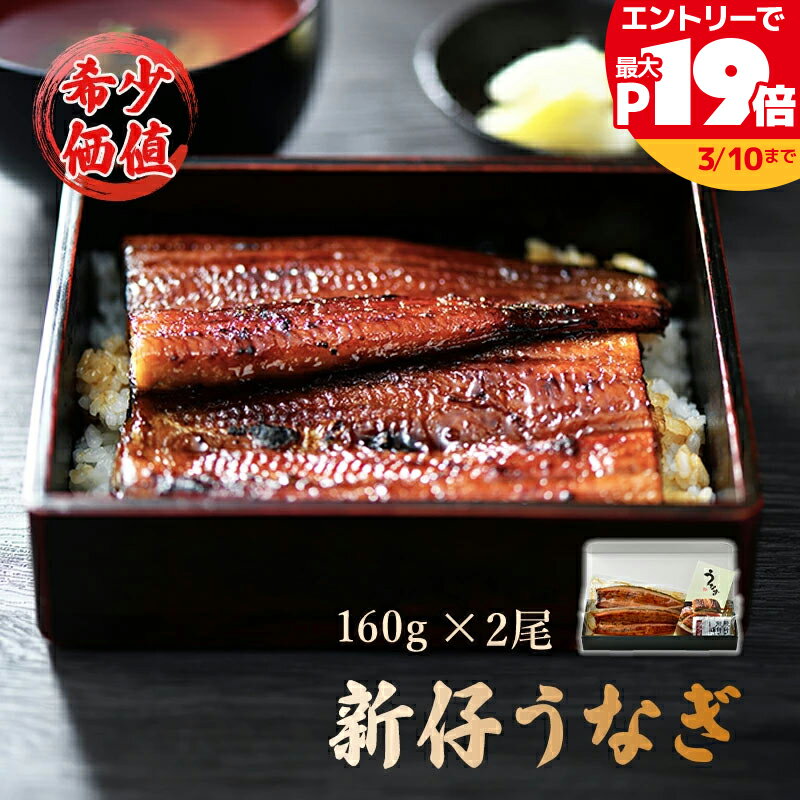 【SS限定最大P19倍】新仔うなぎ 地焼