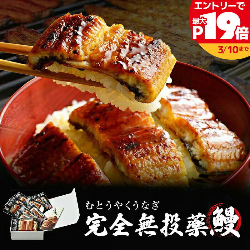 【SS限定最大P19倍】鹿児島県産 うな