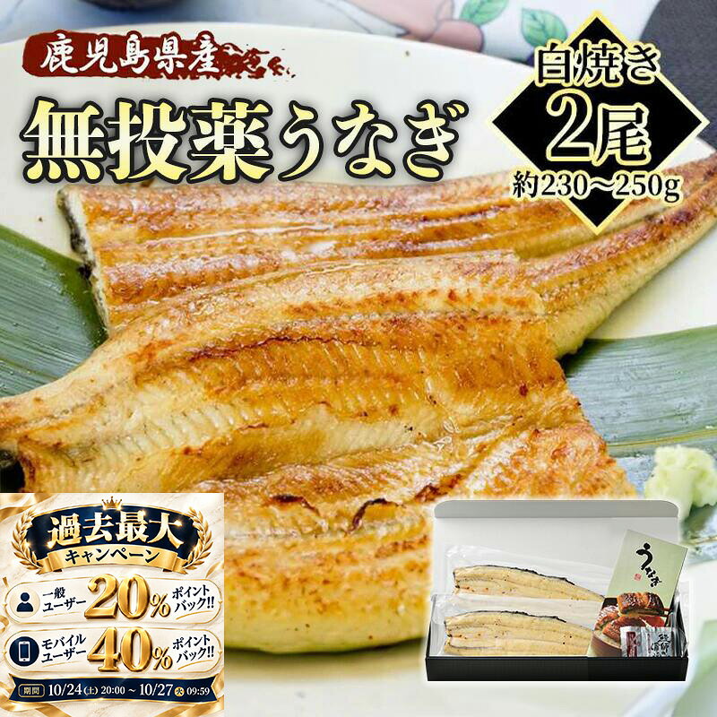 ＼マラソン限定！エントリーでポイント20倍確定／ 鹿児島県産 完全無投薬 うなぎ白焼き 約140g × 1尾 2尾 3尾 化粧箱入り 【メッセージカード対応】 【のし対応OK】 うなぎ 鰻 unagi 贈り物 ギフト 母の日 父の日 プレゼント 誕生日 希少