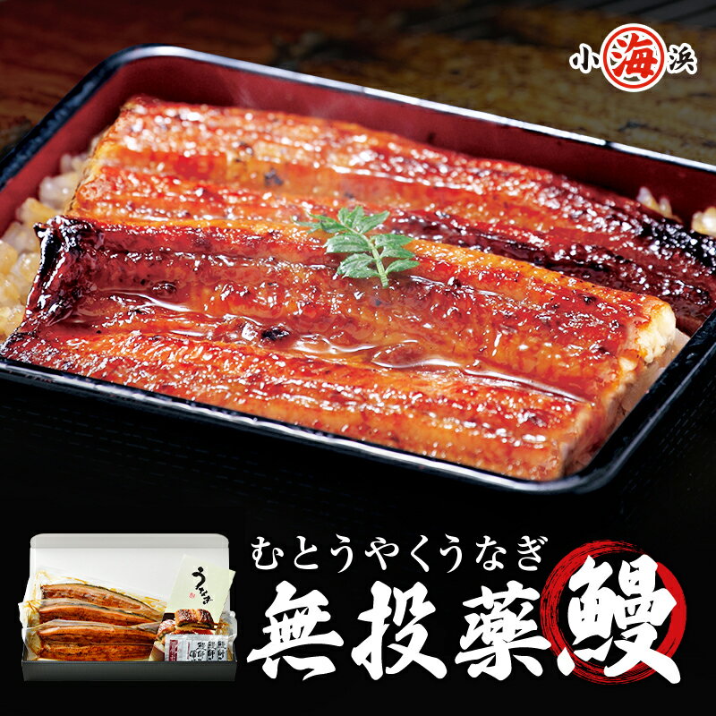 楽天小浜海産物 楽天市場店ギフト 鰻師 うなぎ蒲焼き 鹿児島県産 約140g×3尾 化粧箱入り 完全無投薬 【メッセージカード対応】 父の日 お中元 ギフト プレゼント 誕生日 贈り物 誕生日 冬ギフト