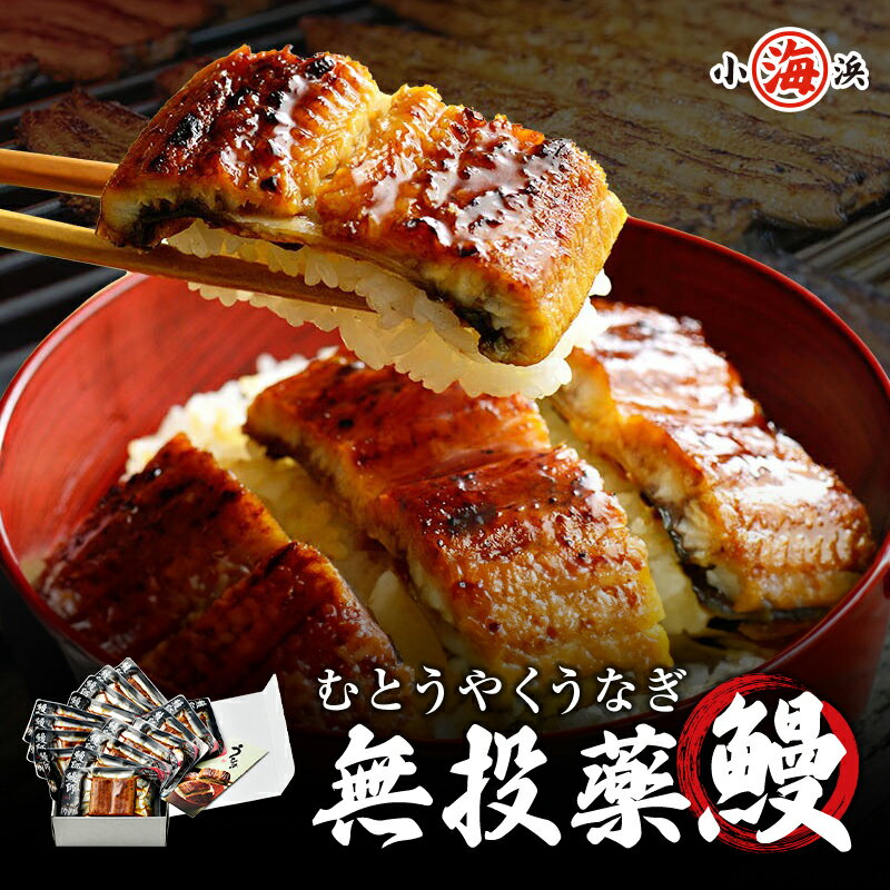 ギフト 鹿児島県産 うなぎ蒲焼き 約65g×16パック ギフト プレゼント 鰻師   誕生日 贈り物 プレゼント たっぷり16パック 母の日 父の日