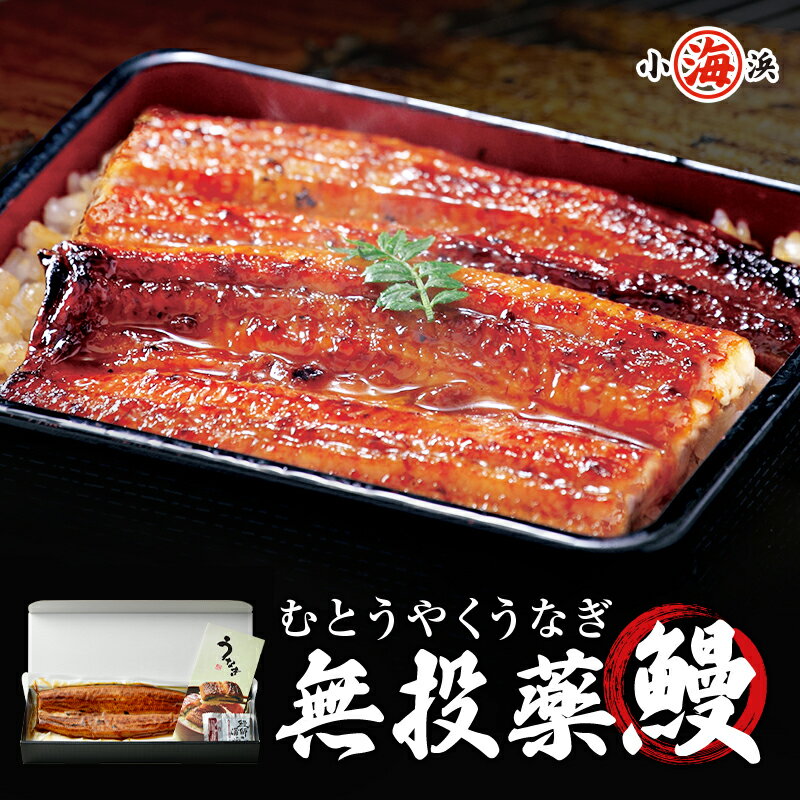 蒲焼き うなぎ ギフト 鰻師 うなぎ蒲焼き 鹿児島県産 約140g×1尾 化粧箱入り 完全無投薬 【メッセージカード対応】 母の日 父の日 ギフト プレゼント 誕生日 贈り物