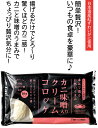 【揚げるだけ！簡単調理】 かに味噌入りカニクリームコロッケ 10個入り 500g (10個×50g) かに味噌 かにみそ かに カニ 蟹 コロッケ クリームコロッケ かにクリームコロッケ お弁当 冬ギフト 記念日 誕生日 プレゼント 贈り物 カニ かに 小浜海産物 2