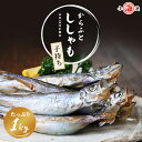 ししゃも 子持ち 国内生産 卵が多い (卵率15%以上) 品質重視 アイスランド産 子持ちからふとししゃも 樺太シシャモ メス 1kg (500g×2袋)バラ凍...