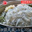 ̵ź ⻺ 餹 200g (100g2) ȴ 2͡4 衺  ɿ 餹Ч Ч 饹Ч 饹 餹 亮     ϴ shirasu 78-111