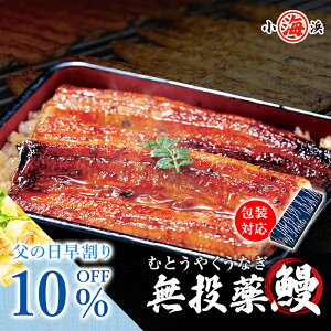 無投薬 鹿児島県産 地焼き 約160g×2尾 化粧箱入り 【メッセージカード対応】 【ギフト各種がすべて無料】 【送料無料】関西風 ギフト プレゼント 鰻師 贈り物 誕生日