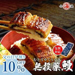 早割 父の日 お中元 【完全無投薬】鹿児島県産 うなぎ蒲焼き 約65g×10パック ギフト プレゼント 鰻師 【ギフト対応】 【メッセージド無料】 【送料無料】誕生日 贈り物 プレゼント たっぷり10パック