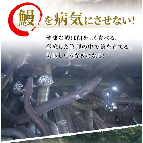 うなぎ母の日父の日入学祝い鹿児島県産約140gtimes;2尾化粧箱入り鰻蒲焼き国産ギフトプレゼント鰻師無投薬鰻蒲焼きメッセージカード対応