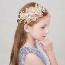 無料 キッズアクセサリー 子供アクセサリー ヘアアクセサリー 髪飾り 発表会 入学式 誕生日 プレゼント 結婚式 ヘッドドレス フォーマル クリスマス ピアノ ...