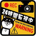 【車用ステッカー/送料無料】「24時間監視中(犬1)」(100mm x 100mm) 録画中 犬 ステッカー ドライブレコーダー ドラレコ 車載 車用 あおり運...