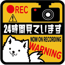 【車用ステッカー/送料無料】「24時間見ています(犬3)」(100mm x 100mm) 録画中 犬 ステッカー ドライブレコーダー ドラレコ 車載 車用 あお...