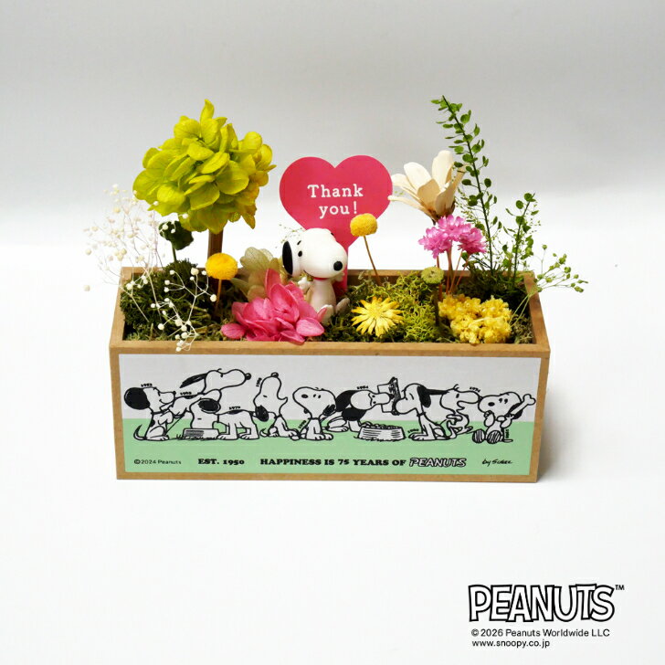 Rakuten - 【NEW】【公式ライセンス商品】送料込みスヌーピーフォレストin bloom 75th（Thank you)/ プリザーブドフラワー フラワーアレンジメント 花 お花 キャラ スヌーピー 雑貨 プレゼント ギフト 母の日 誕生日 記念日 お祝い 結婚祝い