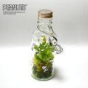【公式ライセンス商品】グリーンボトルNOTE / プリザーブドフラワー 花 お花 フラワー フラワーギフト キャラ スヌーピー かわいい 雑貨 インテリア プレ...