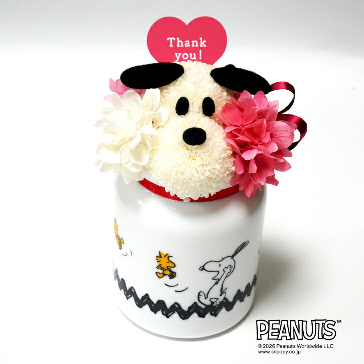 送料込み お花スヌーピーZigzag （Thank you, Happy Birthday, Congratulations）/ プリザーブドフラワー 花 お花 フラワー フラワーギフト キャラ スヌーピー かわいい 雑貨 プレゼント ギフト 母の日 誕生日 記念日 お祝い 結婚祝い