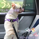 【選べる5色】ペットシートベルト ペット ベルト 車 犬 シートベルト 犬用 シート ベルト 後部座席用 防水 車 車載 車用 後部座席 リード 愛犬 飛び出し...