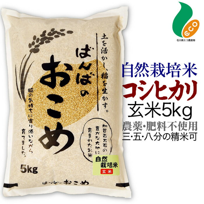 令和5年度産 自然栽培米 コシヒカリ 玄米 5kg 送料無料米農家ばんばのお米 無農薬 肥料不使用米本来の味と香りで玄米特有の癖がないあっさり味精米を3分・5分・8分から選択sdgs こしひかり5キロ ギフト 食物繊維 特別栽培米 石川県エコ農産物