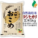 令和5年度産 自然栽培米 コシヒカリ 玄米 5kg 送料無料米農家ばんばのお米 無農薬 肥料不使用米本来の味と香りで玄米特有の癖がないあっさり味精米を3分 5分 8分から選択sdgs こしひかり5キロ ギフト 食物繊維 特別栽培米 石川県エコ農産物