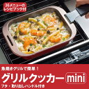 スケーター グリルクッカー ミニ レシピ付き キッチン用品 グリル キッチン雑貨 簡単 調理器具 時短 グラタン オーブン 魚焼き ローストビーフ ピザ 蒸し料...